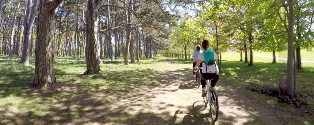two girls heading off on bicycles