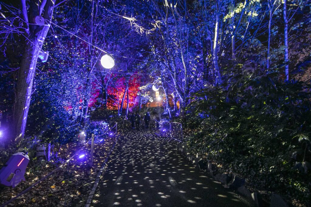 winter lights at Merrion Square Park