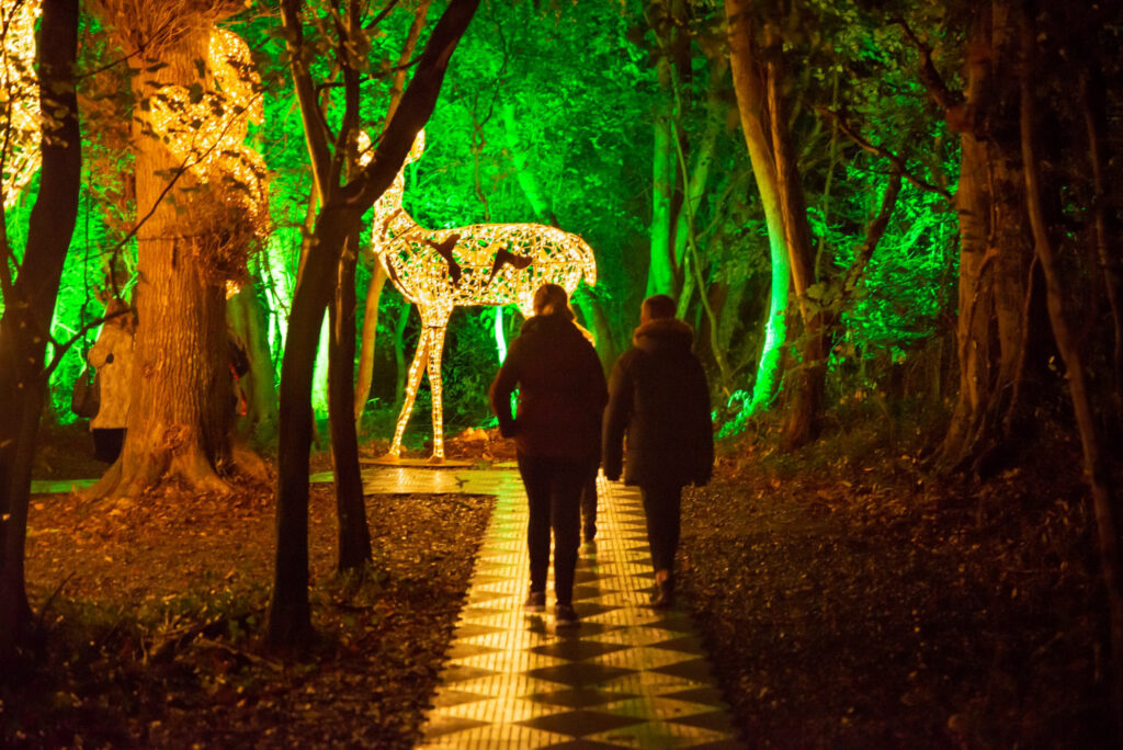 Wonder lights at Malahide Castle & Gardens